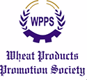media Logo